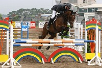 IMG_0044
