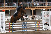 IMG_0013