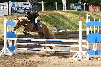 IMG_0031