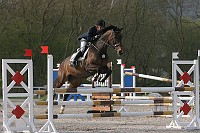 IMG_0010