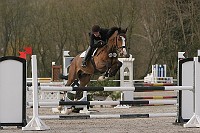 IMG_0015
