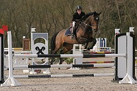 IMG_0029