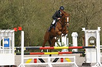 IMG_0010