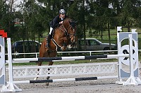 IMG_0019