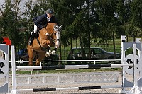 IMG_0037