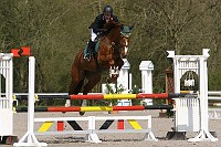 IMG_0038