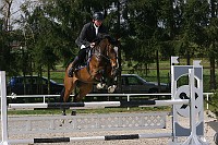 IMG_0052