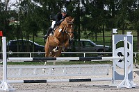 IMG_0074