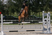 IMG_0079