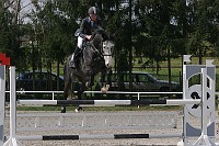 IMG_0081