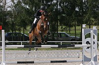 IMG_0101