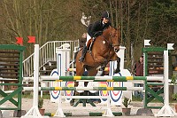 IMG_0037