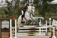 IMG_0036