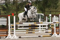 IMG_0049