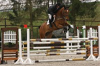 IMG_0071