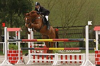 IMG_0116
