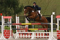 IMG_0126