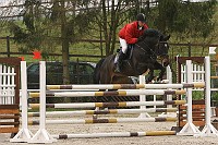 IMG_0178