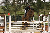 IMG_0198