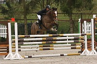 IMG_0074