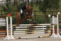 IMG_0086