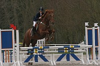 IMG_0037