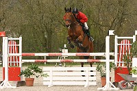 IMG_0061