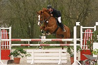 IMG_0102