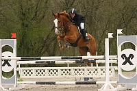 IMG_0103