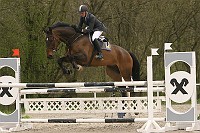 IMG_0106