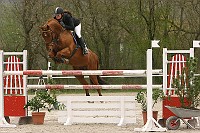 IMG_0006