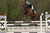 IMG_0010