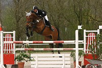 IMG_0049