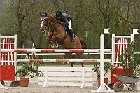 IMG_0066