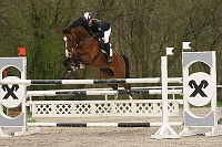 IMG_0081