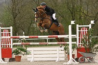 IMG_0086