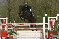 IMG_0101