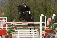 IMG_0116