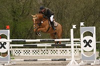 IMG_0117