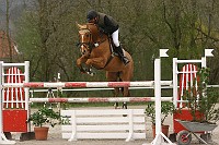 IMG_0119