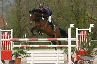 IMG_0125