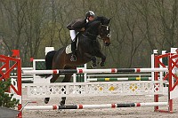 IMG_0037