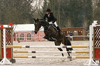 IMG_0012
