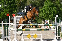 IMG_0012