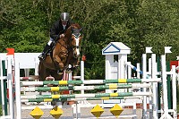 IMG_0049