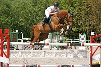IMG_0061