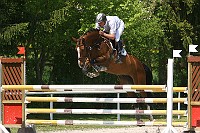IMG_0010