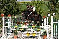 IMG_0017