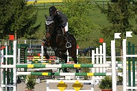 IMG_0041