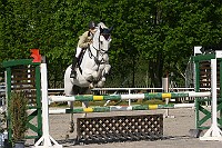 IMG_0005